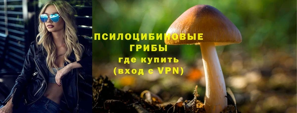 герыч Арсеньев