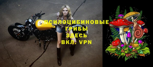 молекула духа Аркадак